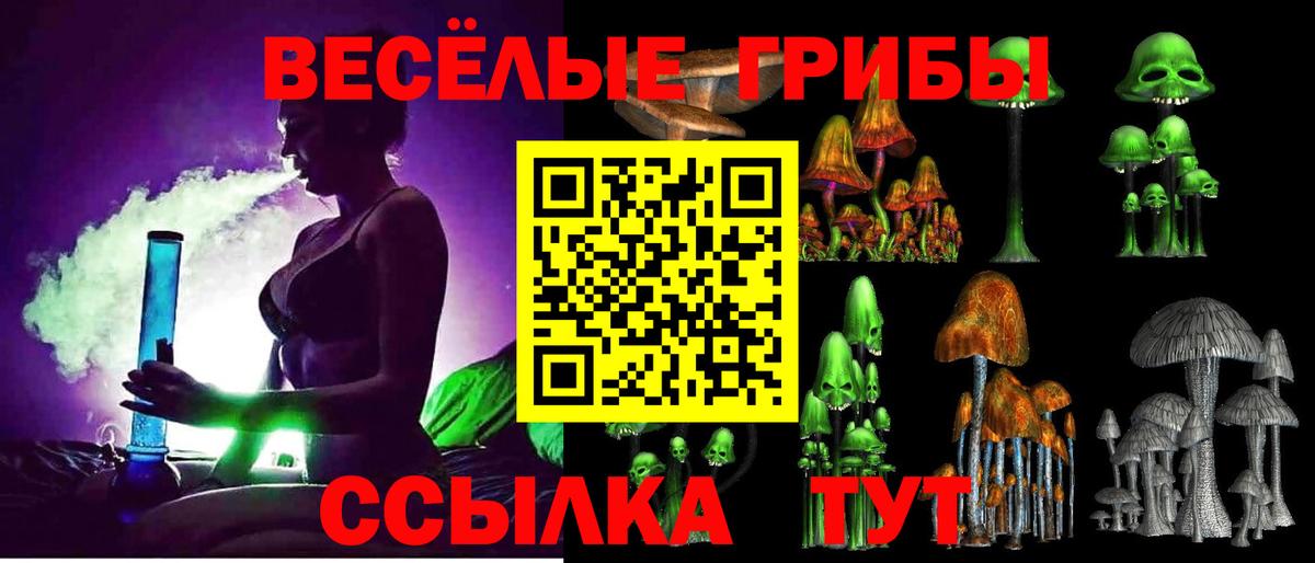 Псилоцибиновые грибы ЛСД  Вход с VPN  Псилоцибиновые грибы Psilocybine cubensis  купить наркоту  Волжск 