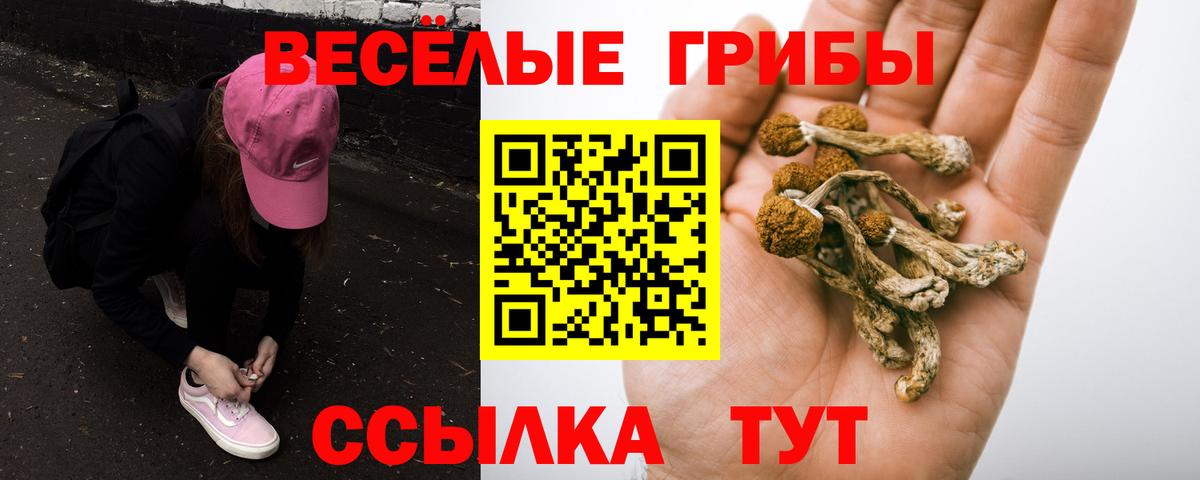 Галлюциногенные грибы GOLDEN TEACHER Волжск